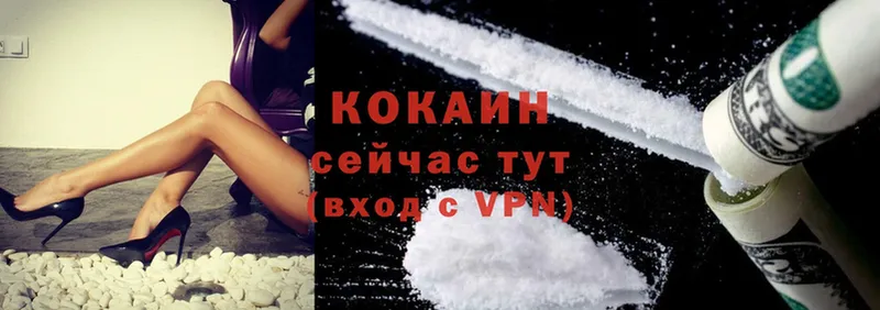 купить закладку  Морозовск  COCAIN Эквадор 